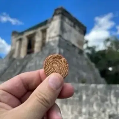 Experience